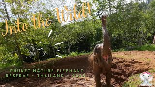 Into the Wild! Phuket Nature Elephant Reserve. Ep 14