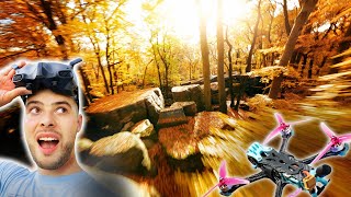 Dieser Herbstwald ist so Perfekt für FPV FREESTYLE!