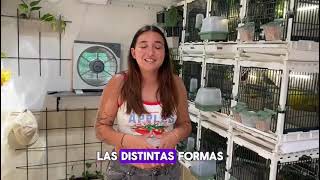 "Transforma tu Jaula en un Ecosistema Vivo con Marta!