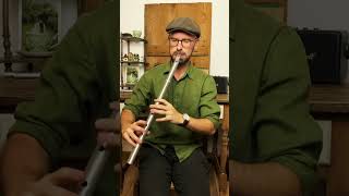 The goldfinch reel on low whistle (compo Franck Medrano) #lowwhsitle #whistles #frenchflutist