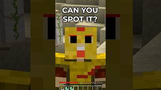 Now can you spot it? #minecraft