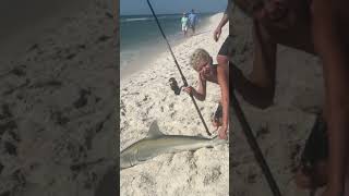 BENTLEY CATCHES A SHARK IN GULF SHORES #shark