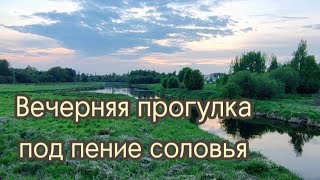 Вечерний деревенский релакс: природа, соловьи, сирень✌️