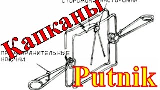 Рассказ о капканах