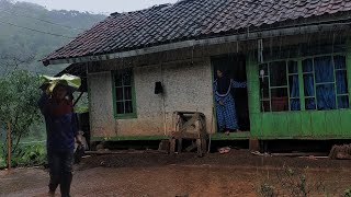 Hujan Deras Menguyur Kampung Sindang Ratu “Tiis Ceuli Herang Panon” Suasana Syahdu Pakenjeng - Garut