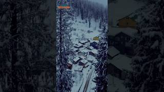 Manali में Snowfall देखने का best time कौन सा है | ￼ guaranteed 100 % snowfall | #manali