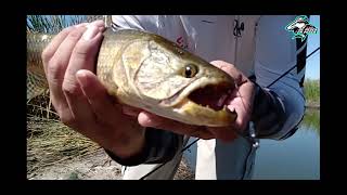 Pesca en Navarro con amigos