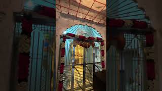 Ramdev ji mandir kuda #shorts #ytshorts