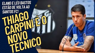 SANTOS ACERTA COM THIAGO CARPINI! LÉO BASTOS E ELANO ESTÃO DE VOLTA AO SANTOS!