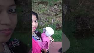 Nature's beauty accompanies me on my walk in the park | #shorts #ytshorts #vlog #familiareviewrocks