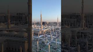 مظلات المدينة المنورة المسجد النبوي. Umbrellas city Medina Prophet's Mosque