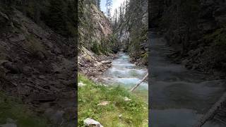 This canyon in Banff is so beautiful #shorts