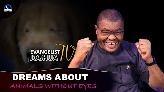 Dream About Animal Without Having Eyes II Meaning from Evangelist Joshua