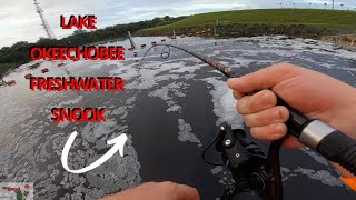 Heartbroken over a LAKE OKEECHOBEE FRESHWATER SNOOK *Bicycle Fishing Adventure*