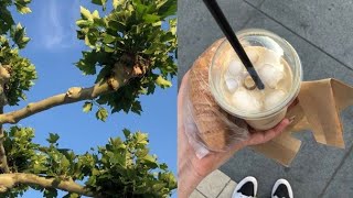 Summer vlog🍮