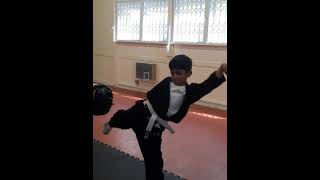 Kihon - Roundhouse Kick on pads