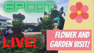 🔴LIVE: Epcot Flower and Garden Festival | Dreaming With Our Pals | 3/28/2024