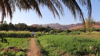 Morocco Day 6 | Exploring the Berber Way of Life in the Sahara Desert (G Adventures)