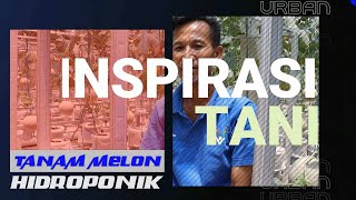 Inspirasi tani membudidayakan melon hidroponik