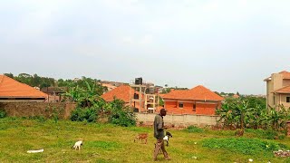 65 DECIMALS OF LAND FOR SALE IN KYANJA KAMPALA UGANDA