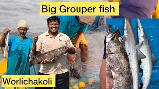 😱Big grouper fish 🐠deep sea fishing. #youtube #trending #fishing #agrikoli