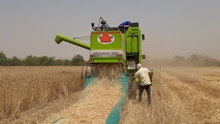 कम्बाईन का फील्ड परीक्षण । 😮🔥🔥test of a combine harvester