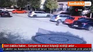 Sarıyer’de aracın köpeği ezdiği anlar kamerada