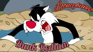 Bunk bedlam|webtoons|loonytunes|youtube|vintagecartoon