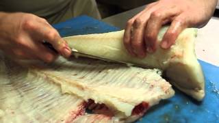 Breaking Down a Sterling Atlantic White Halibut | Dom Clarke