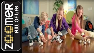 Zoomer | NEW! Zoomer 2.0 and Friends | TV Commercial