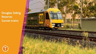 AussieTrain Vlogs 39: Douglas Siding Reserve - sunset trains