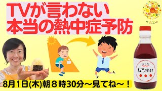 TVでは教えてくれない、本当に効果的な熱中症対策