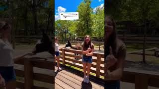 @triplecharm Lost This edit at the zoo❣️💖🫶 #triplecharm #dance #edit #cute #viral #shorts