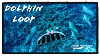 Dolphin loop | A Freedive4u Short