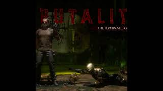 Terminator Brutality #shorts #shortvideo #terminator #robocop #games #mk11 #respect #gameplay