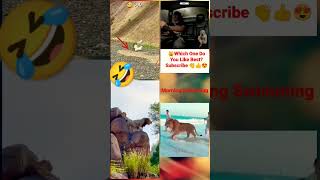 Try Not To Laugh Challenge The best and funniest pets world#shorts #tiktok #viral #respect #animals