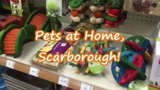 A Peak into Pets at Home!