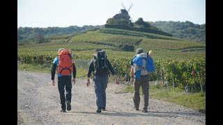 VIA FRANCIGENA 4: LAON - CHÂLONS-EN-CHAMPAGNE