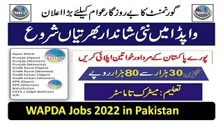 WAPDA Jobs 2022 in Pakistan | پاکستان میں واپڈا کی نوکریاں