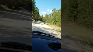 Bowden Road/Demon Road - near Huntsville, TX