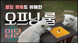 오목 최신 패치 이 영상 하나로 정리하겠습니다