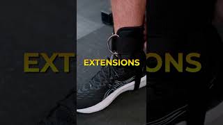 Gym vs Home - Leg Extension Edition