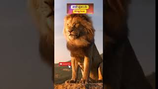 सबसे खूंखार lion King Scar #shorts #animals #viral #lion #animalshorts