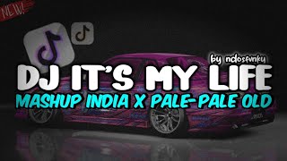 DJ IT'S MY LIFE X MASHUP INDIA X PALE PALE OLD BY NDOSFVNKY