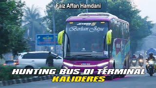 Kumpulan Bis Pagi Saat Pagi Hari di Terminal Kalideres || Hunting Bus