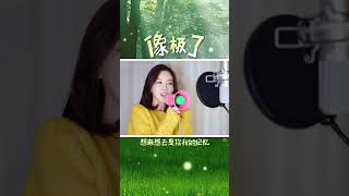 《像极了 정말 닮았어》 ┃Cover by  여우리(蔚蔚, weiwei)  #중국노래 #shorts