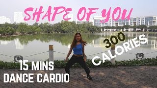 15 MINS DANCE CARDIO BURN 300 CALORIES with HOTTEST SONGS