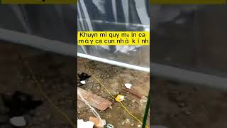 Khuyến mại quy mô lớn của máy cửa cuốn nhà kính