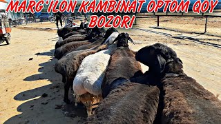 MARGILON KAMBINA OPTOM QOY BOZORI