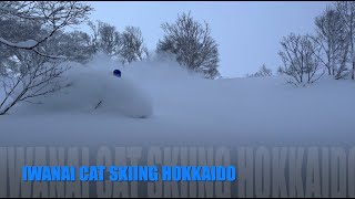 Iwanai Cat Skiing Hokkaido Japan